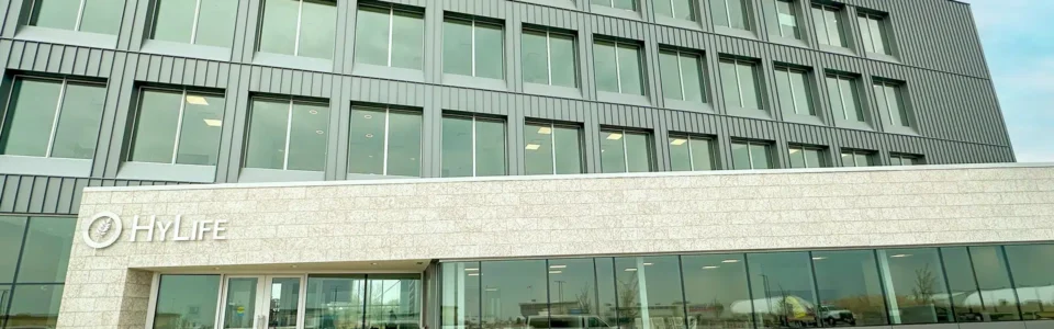 The HyLife building in Steinbach, Manitoba. A modern, multi-story building with large windows and grey-green metal siding. The entrance features limestone brick accents and a HyLife sign over the front doors.